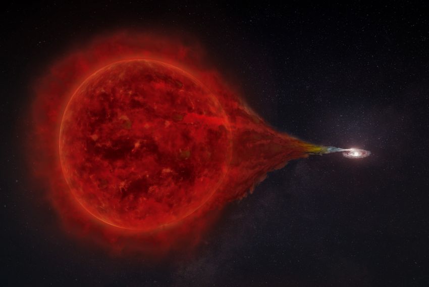 The binary star system RS Ophiuchi: Matter flows from the red giant onto the white dwarf. The newly added stellar envelopes explode in a bright nova about every 15 years. (Artwork: superbossa.com/MPP)