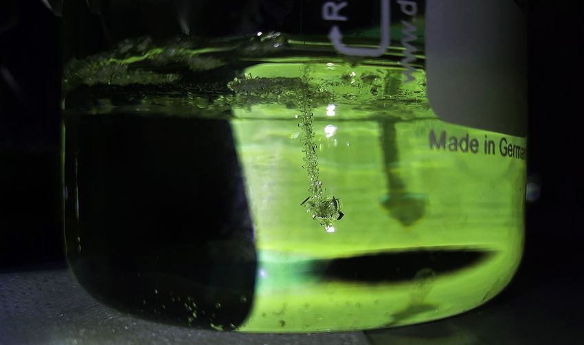 Das Bild zeigt ein Reagenzglas mit einer hochkonzentrierten Zuckerlösung. In diesem Gefäß befindet sich ein Nylonfaden, an dem sich ein Zuckerkristall gebildet hat. 