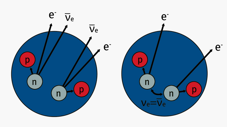 Beim neutrinobehafteten doppelten Betazerfall (links) werden zwei Antineutrinos frei. Beim neutrinolosen doppelten Betazerfall sind keine Neutrinos nachzuweisen
