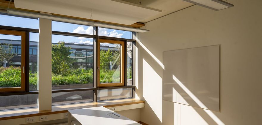 View from an office to the roof garden (Photo: Massimo Fiorito)