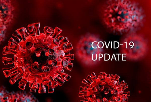 SARS-Cov2-Virus (Graphics: Romolo Tavani/iStock)