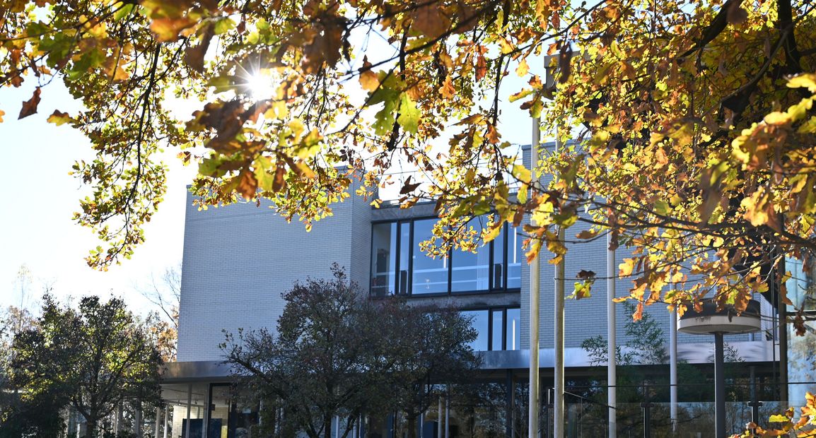 The Max Planck Institute for Physics in fall (Photo: B. Wankerl/MPP)