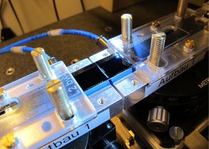 Two detector modules are bonded together “head to head”.