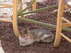 DSCN5046