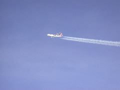 DSCN5024