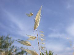 DSCN5079