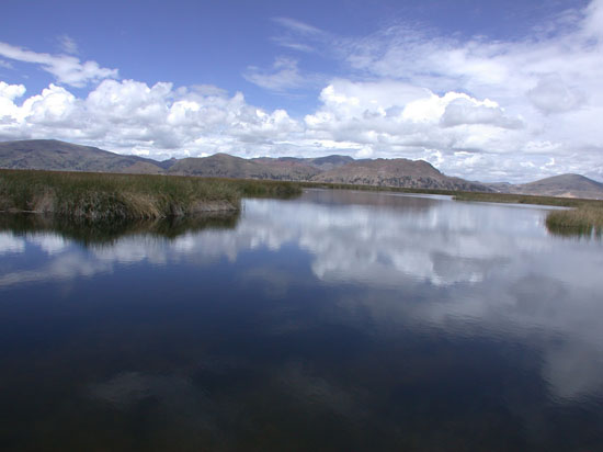 DSCN9391