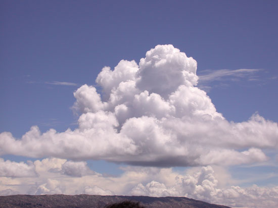 DSCN9411